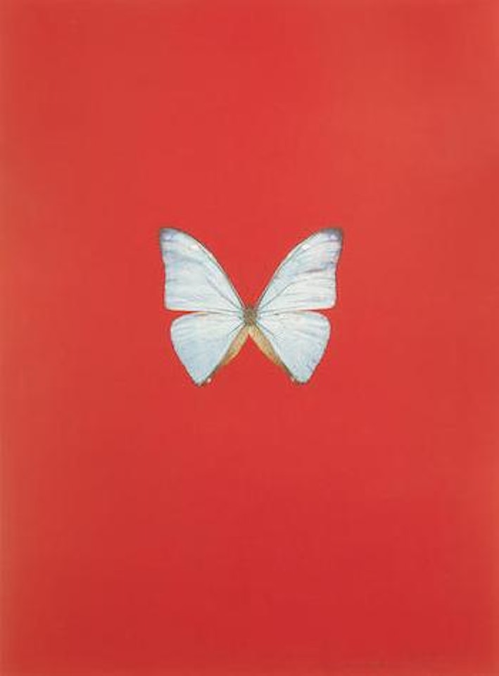 Untitled 06, from New Beginnings by Damien Hirst