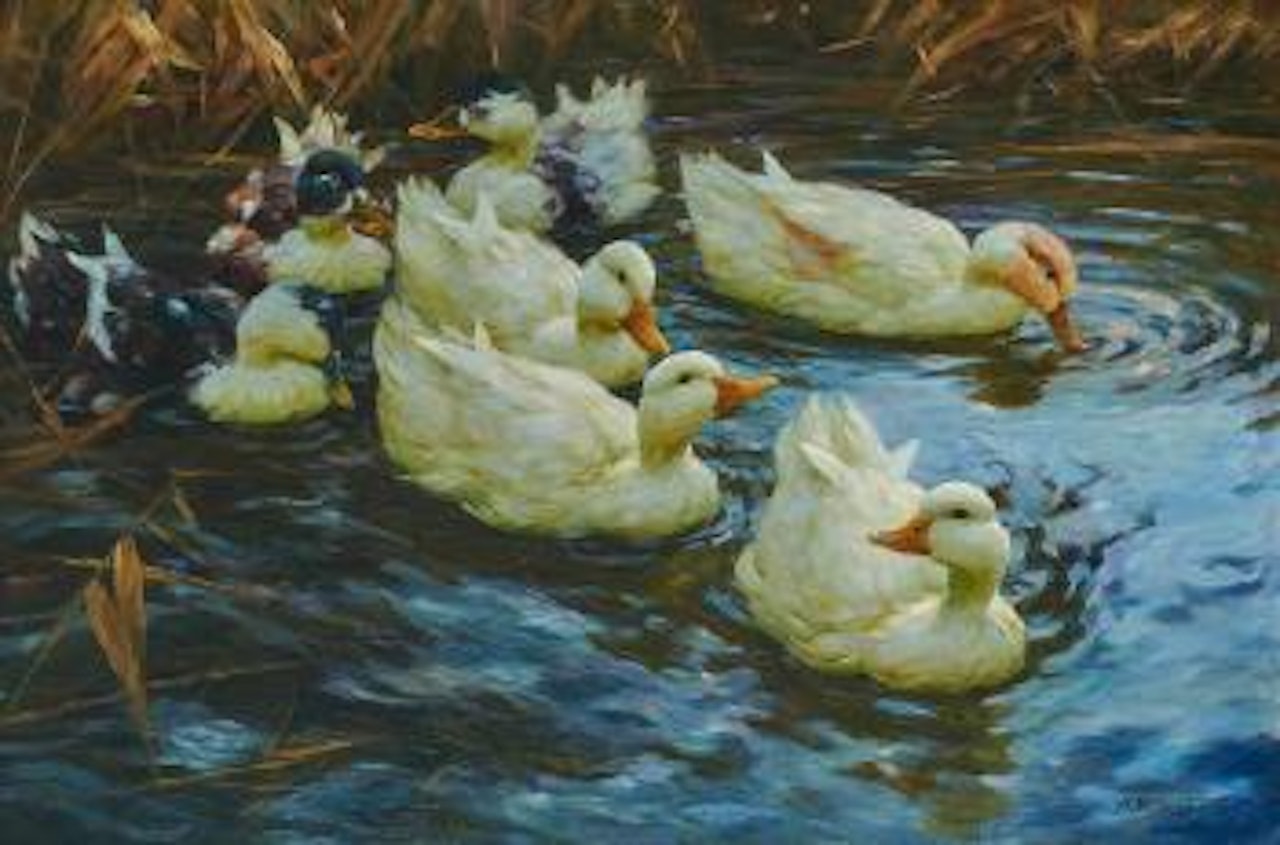 Sieben Enten im Schilfwasser by Alexander Koester