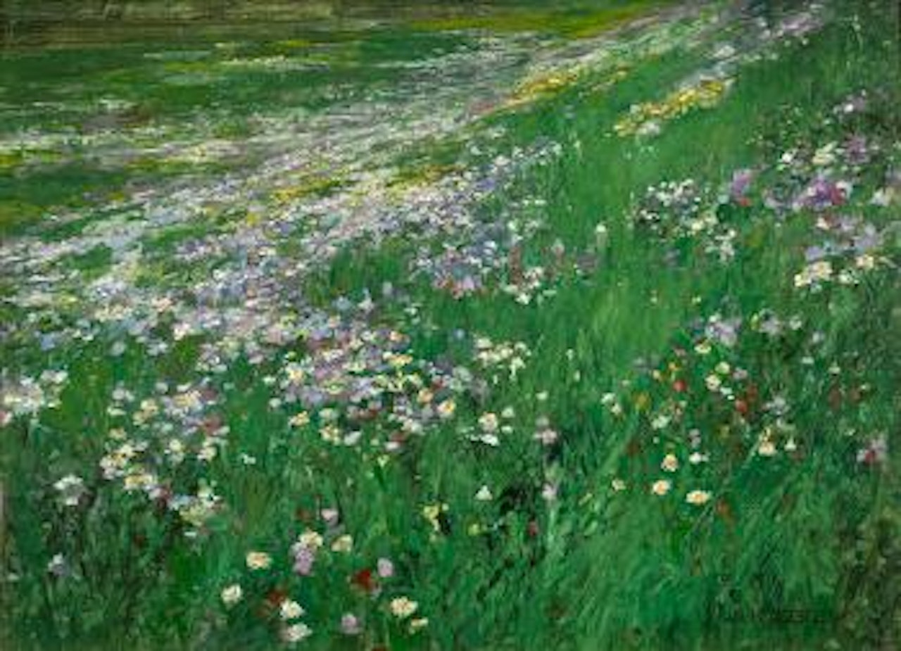 Blumenwiese by Alexander Koester