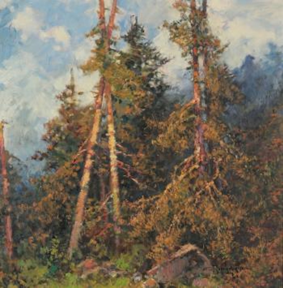 Vegetazione alpina by Cesare Bentivoglio