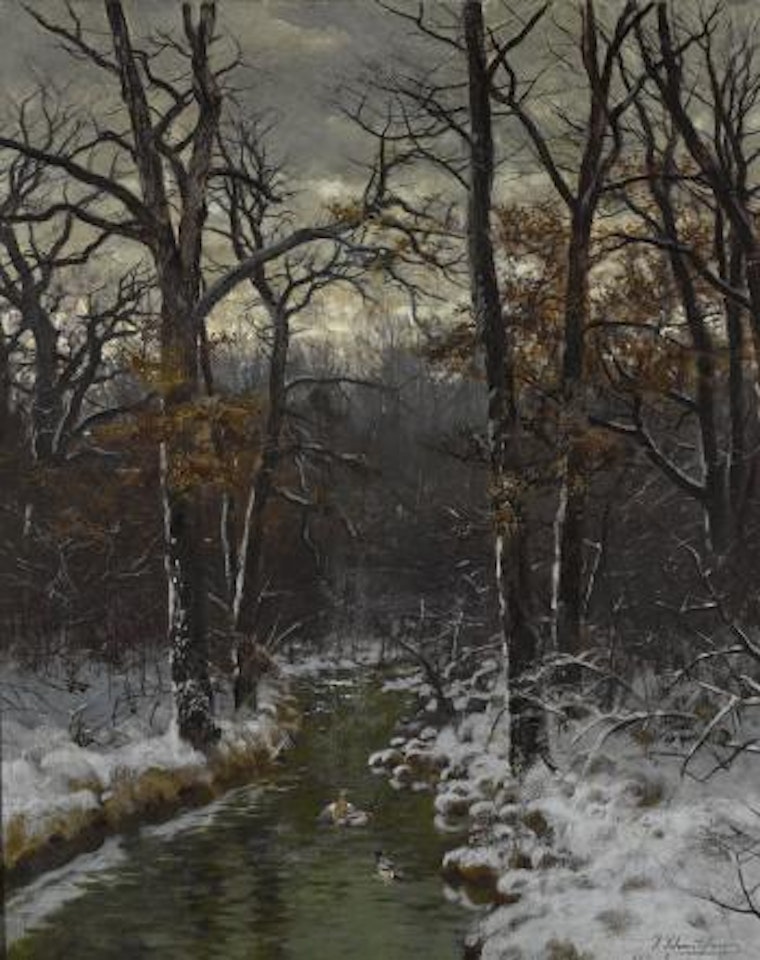 Winterlicher Waldbach mit Enten by Josef Schmitzberger