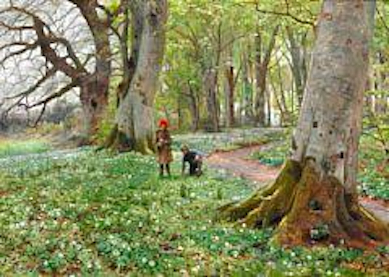 Two children picking anemones in a beech forest on a spring day by Peder Mork Monsted