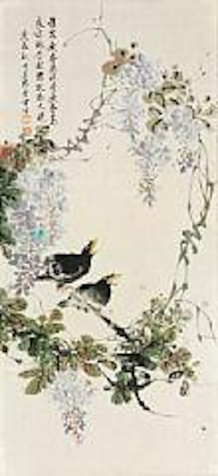 blackbirds under flowering wisteria by Chen Banding