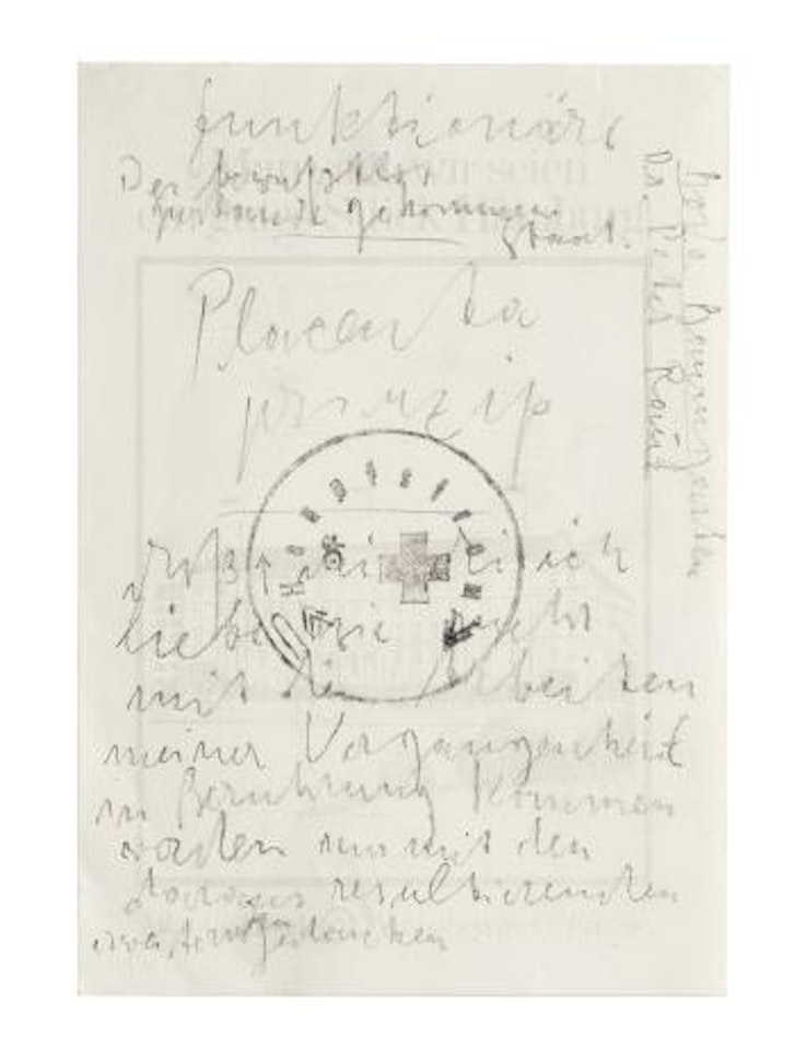 Placenta Prinzip by Joseph Beuys