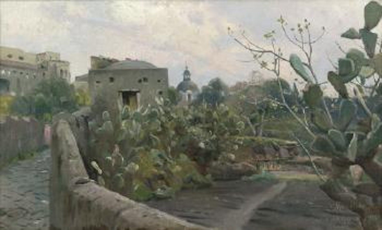 Kakteen an einer Straßenmauer in Torre del Greco by Peder Mork Monsted