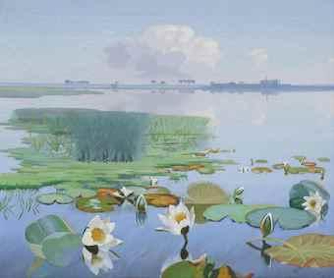 Water lilies with Loosdrecht in the distance by Dirk Smoorenberg