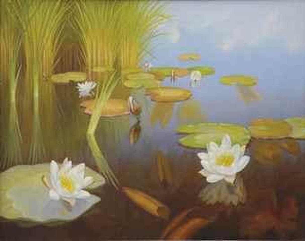 Water lilies by Dirk Smoorenberg