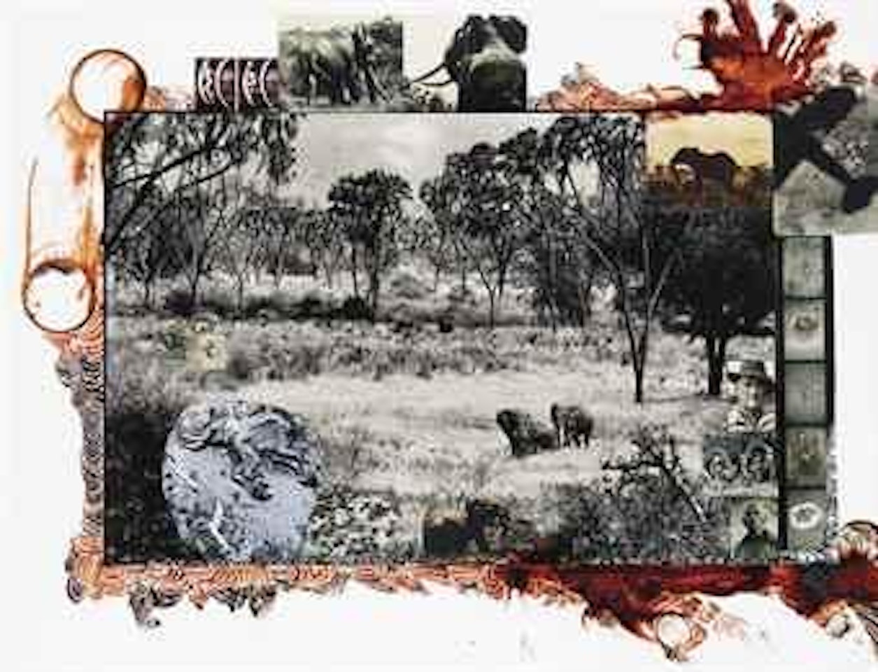 Tsavo In The 60s Before The Die-off Of 30 000 Elefants (The End Of The Game) Tsavo East On The Athi-tiva by Peter Beard