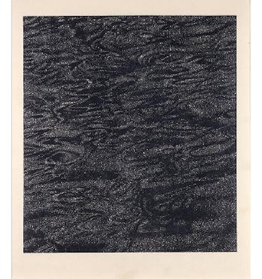 Schwarzwasser by Franz Gertsch