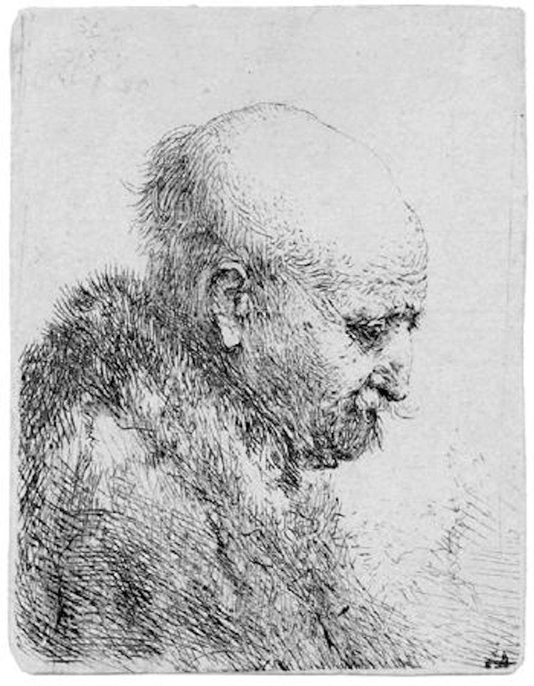 Kahlkopf, nach rechts gewendet (Rembrandts Vater?) by Attributed to Rembrandt Harmensz van Rijn