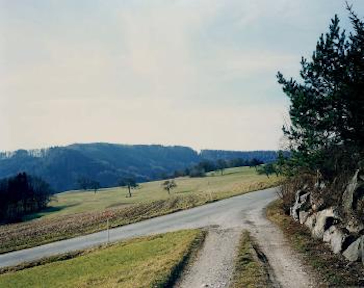 Wegmündung bei Winterberg, Landschaft No. 29, Winterthur by Thomas Struth