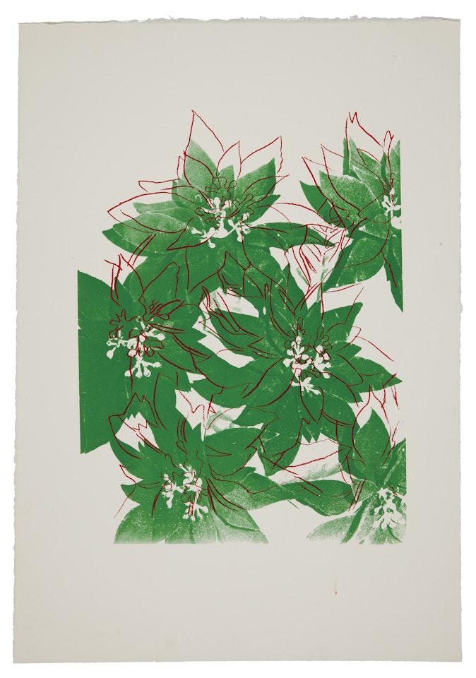 Poinsettias (F. & S. Iiia.51[b]) by Andy Warhol