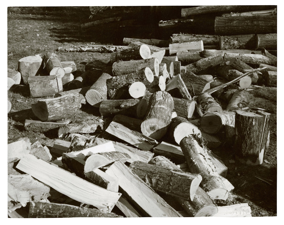 Firewood by Andy Warhol
