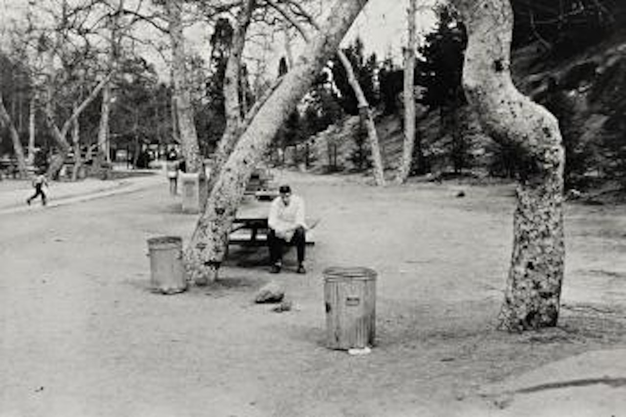 Pic-nic Ground Glendale Los Angeles by Robert Frank
