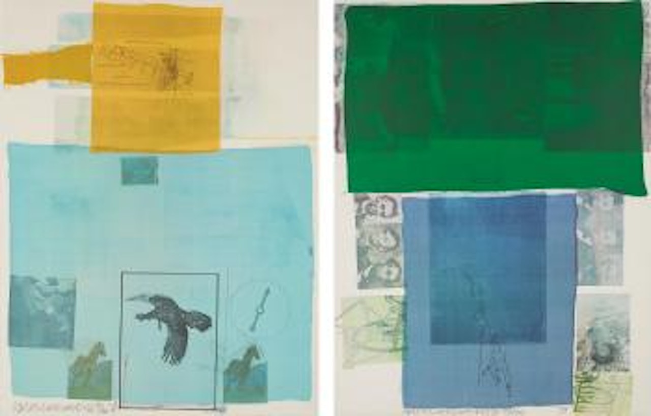 Why you can't tell #1; Shoot from the main stem, from the suite of nine prints by Robert Rauschenberg