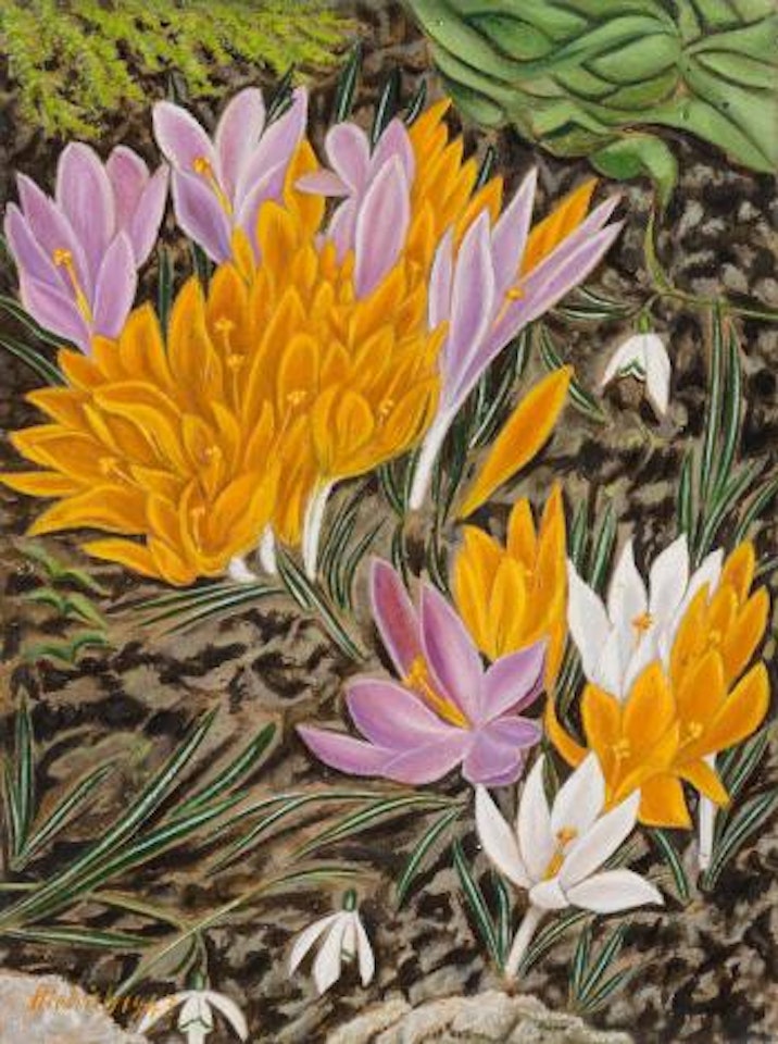 Krokusse und Schneeglöckchen by Adolf Dietrich