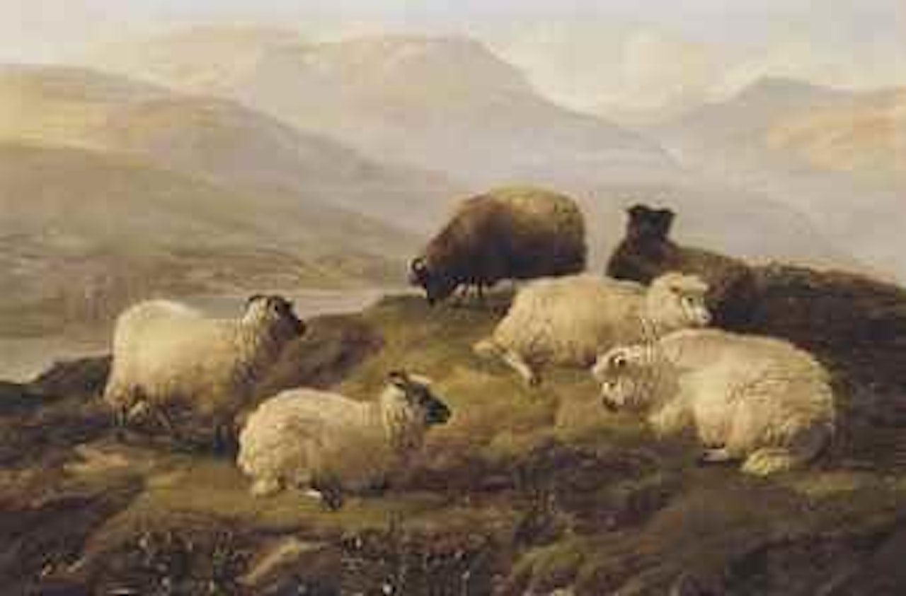 Sheep resting in a Highland landscape by Thomas Sidney Cooper
