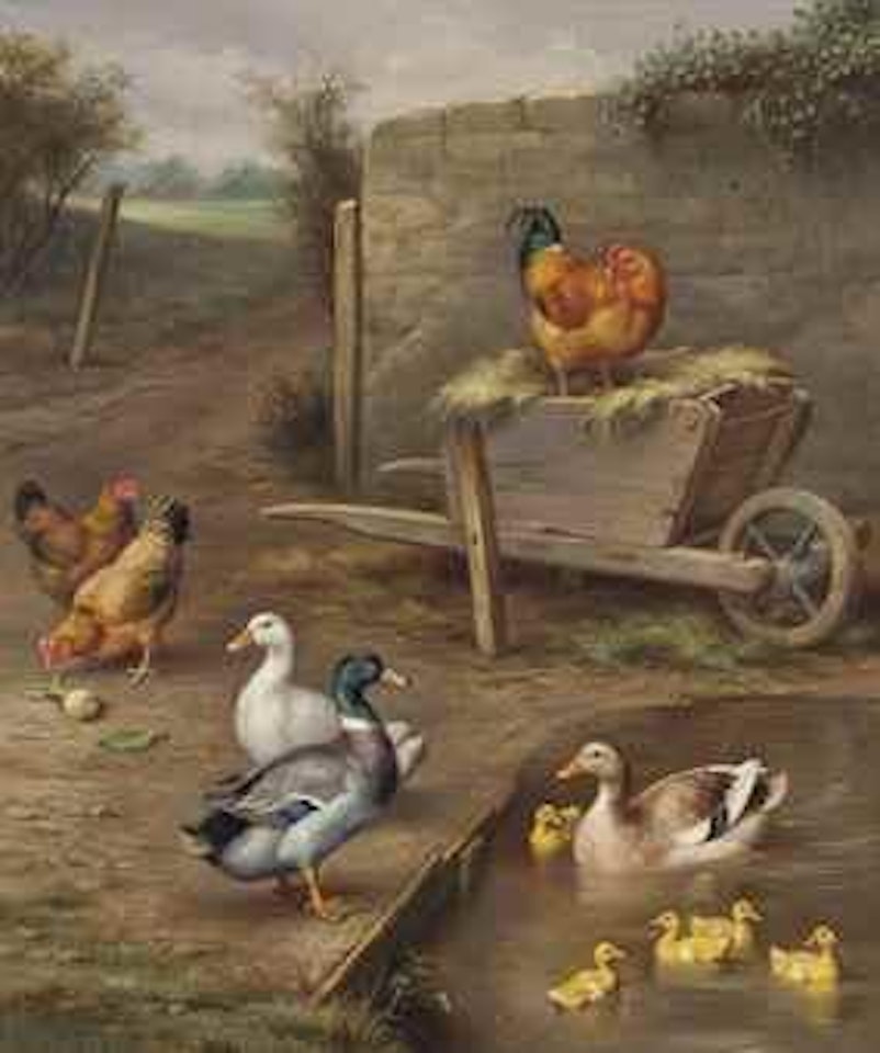 Fowl friends by Edgar Hunt