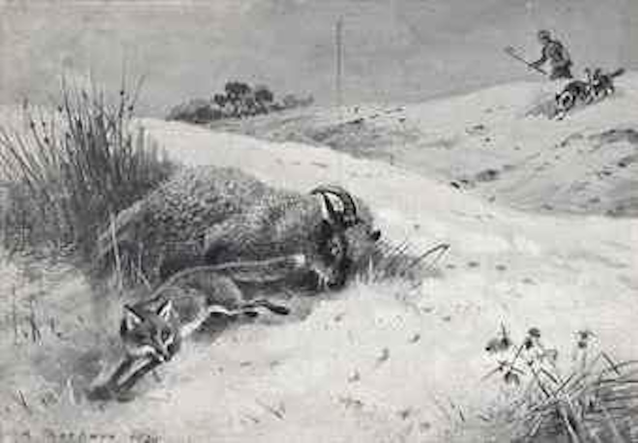The watchful shepherd by Archibald Thorburn