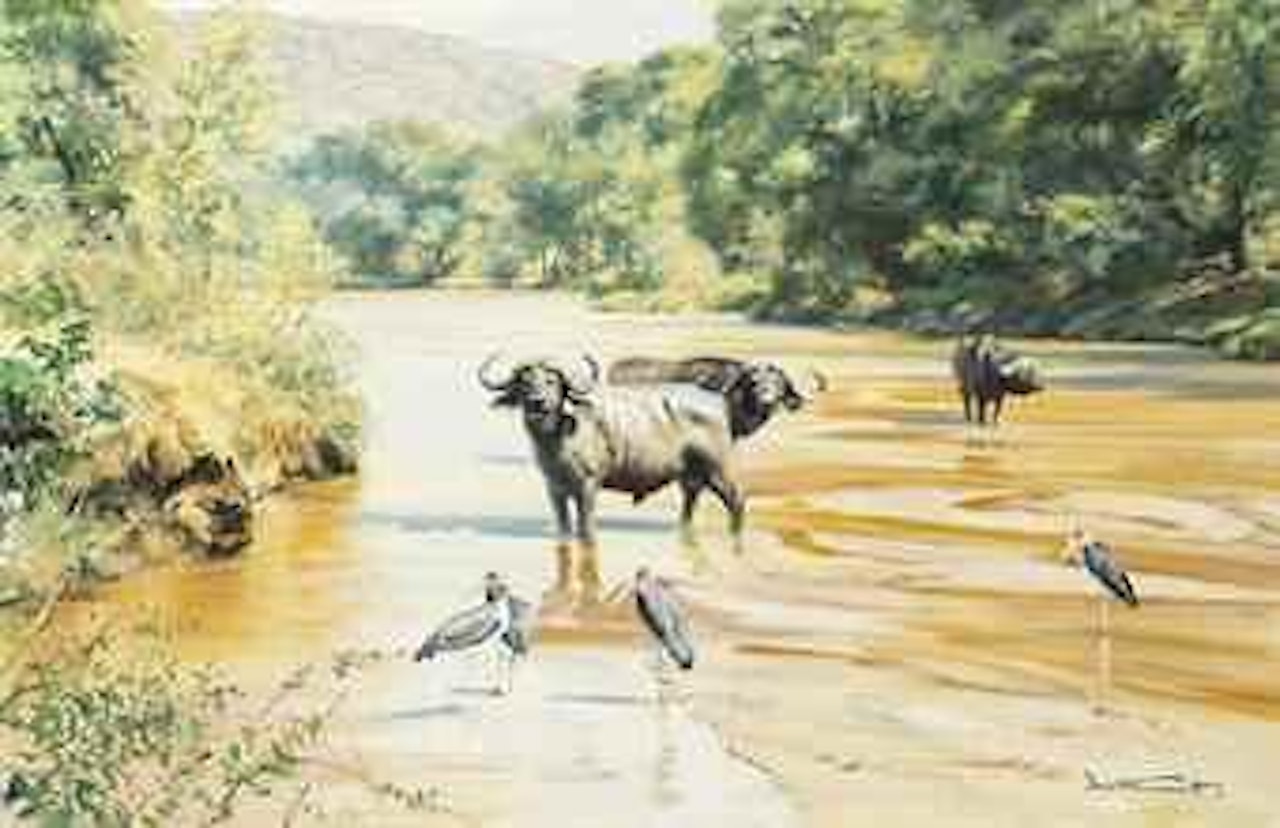 Cape buffalo with maribou stork by Donald Grant