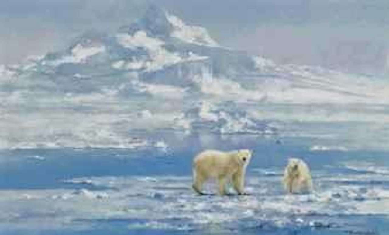 Polar bears by David Shepherd