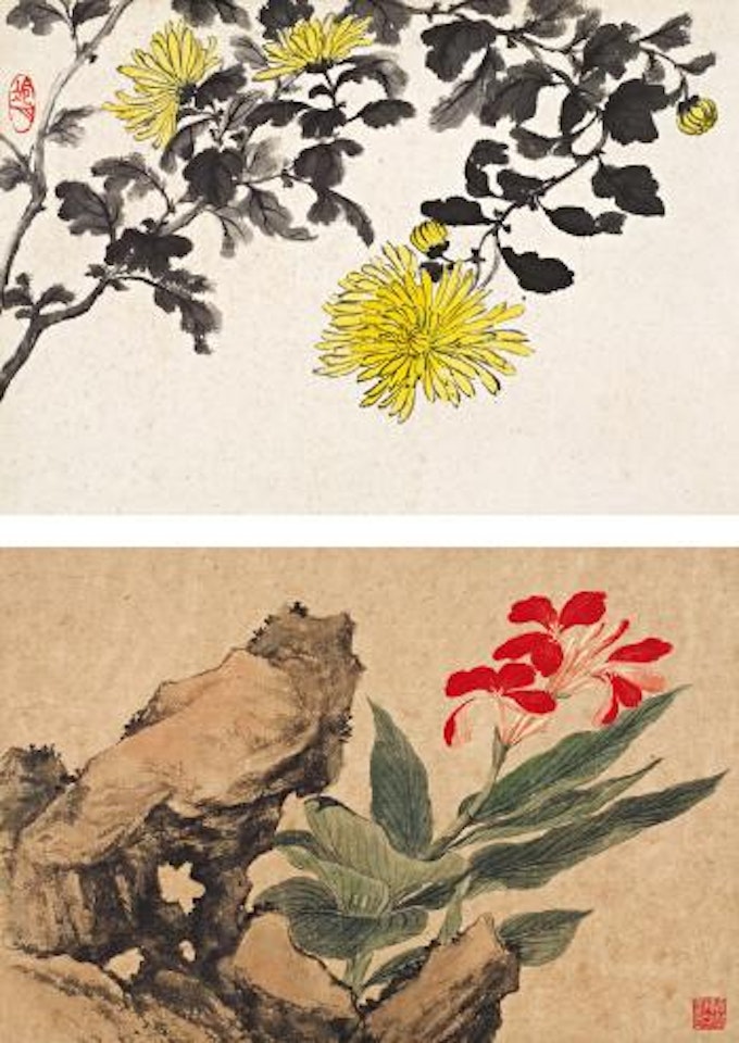 Chrysanthemun; Canna Indica by Lengyue Tao