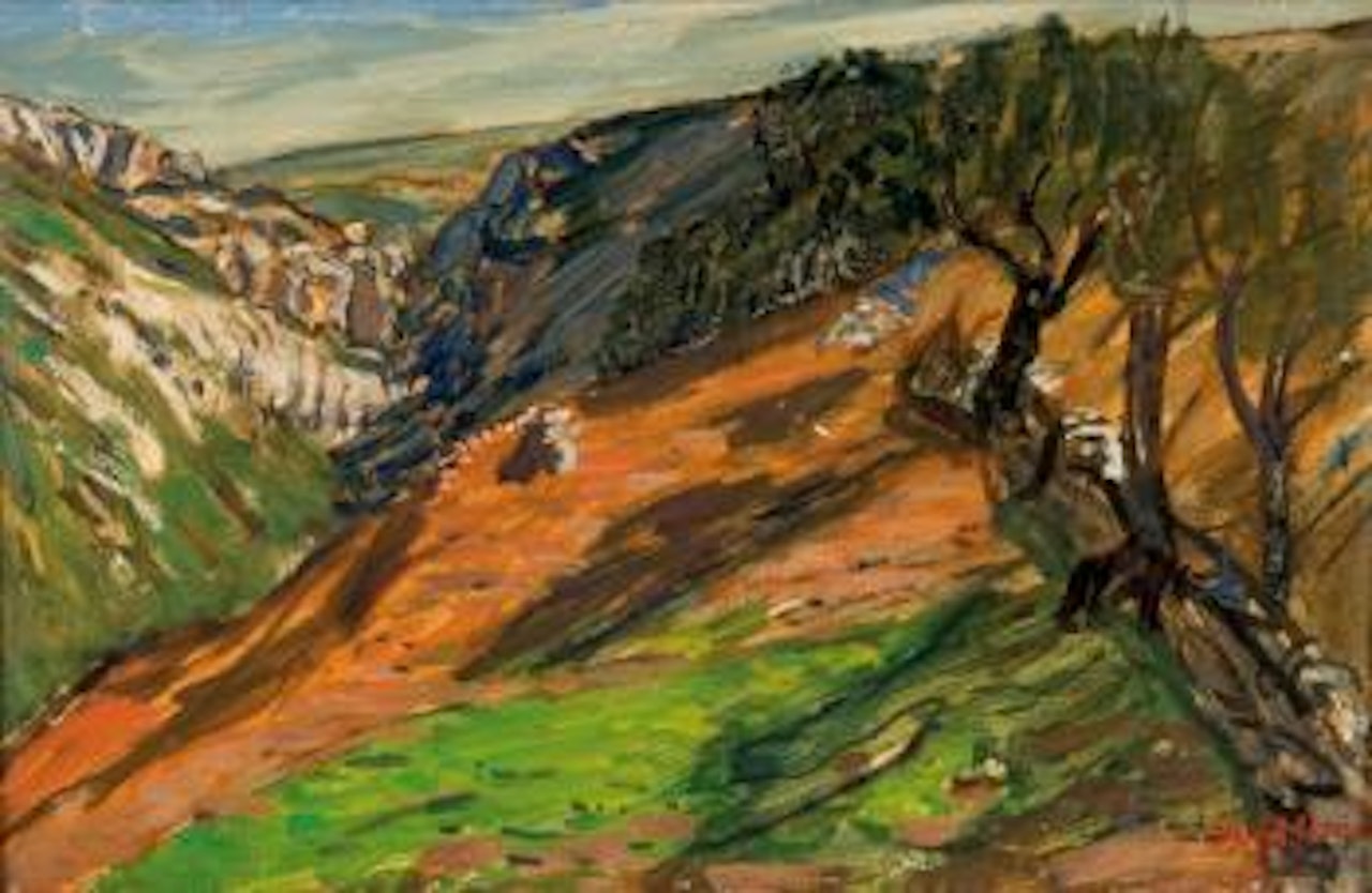 Pentes dans le Vaucluse by René Seyssaud