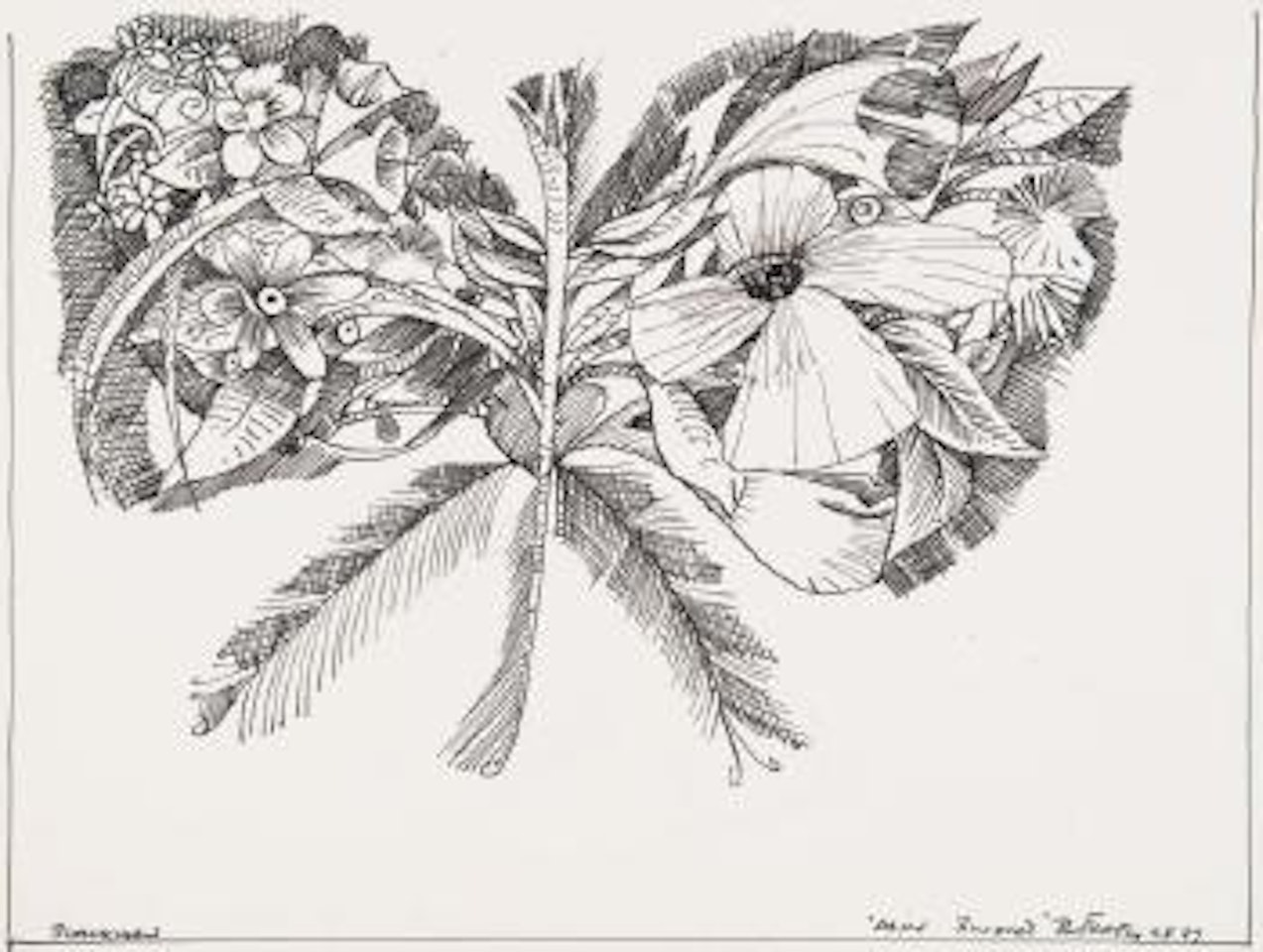 Alice's bouquet butterfly by Charles Blackman