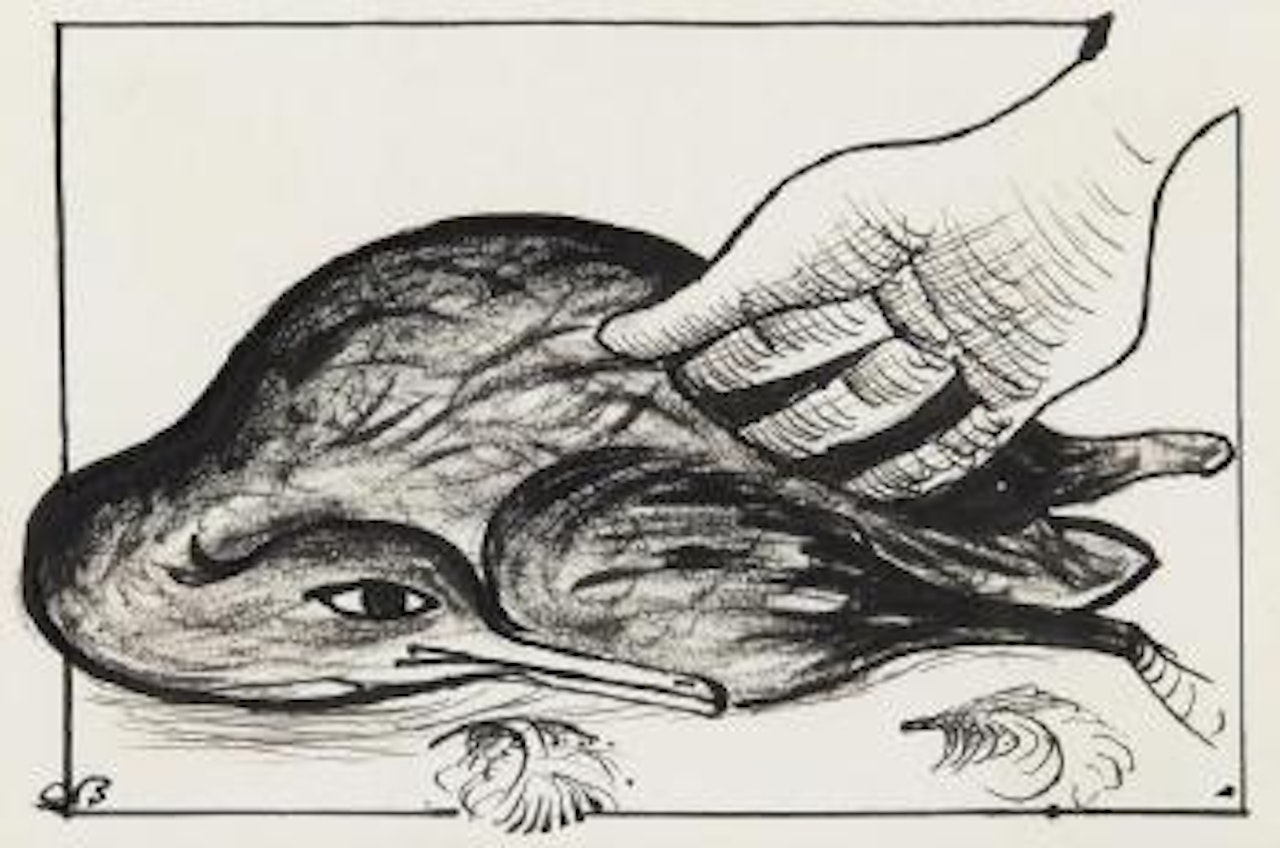 An unprepared bird being prepared by Charles Blackman