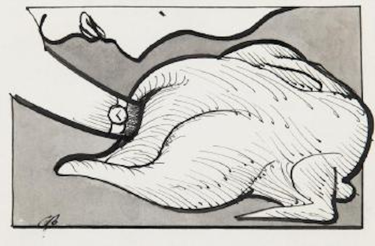 Stuffed chicken by Charles Blackman