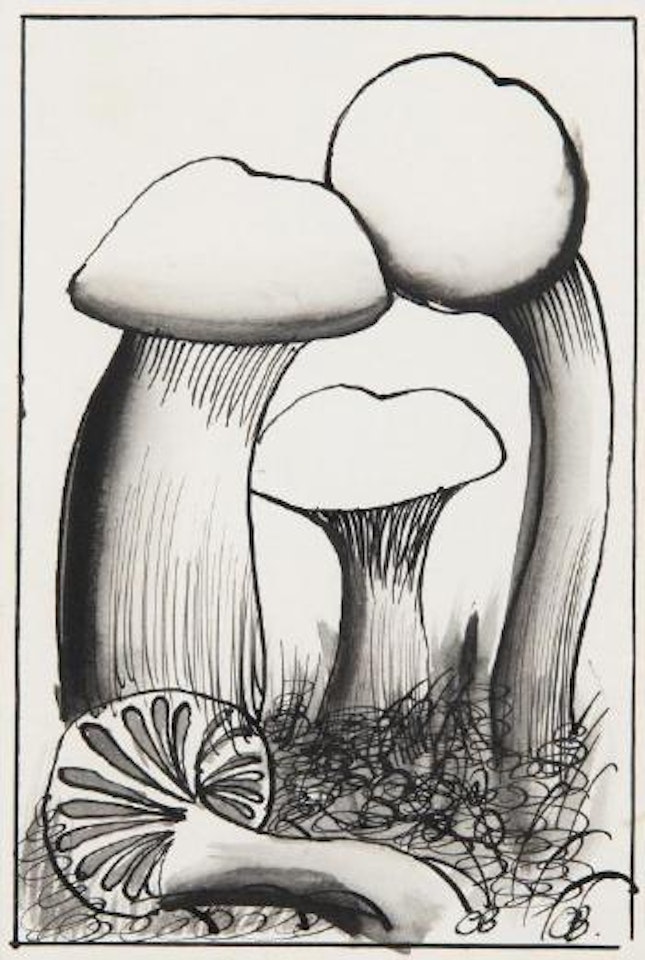 Champignons by Charles Blackman