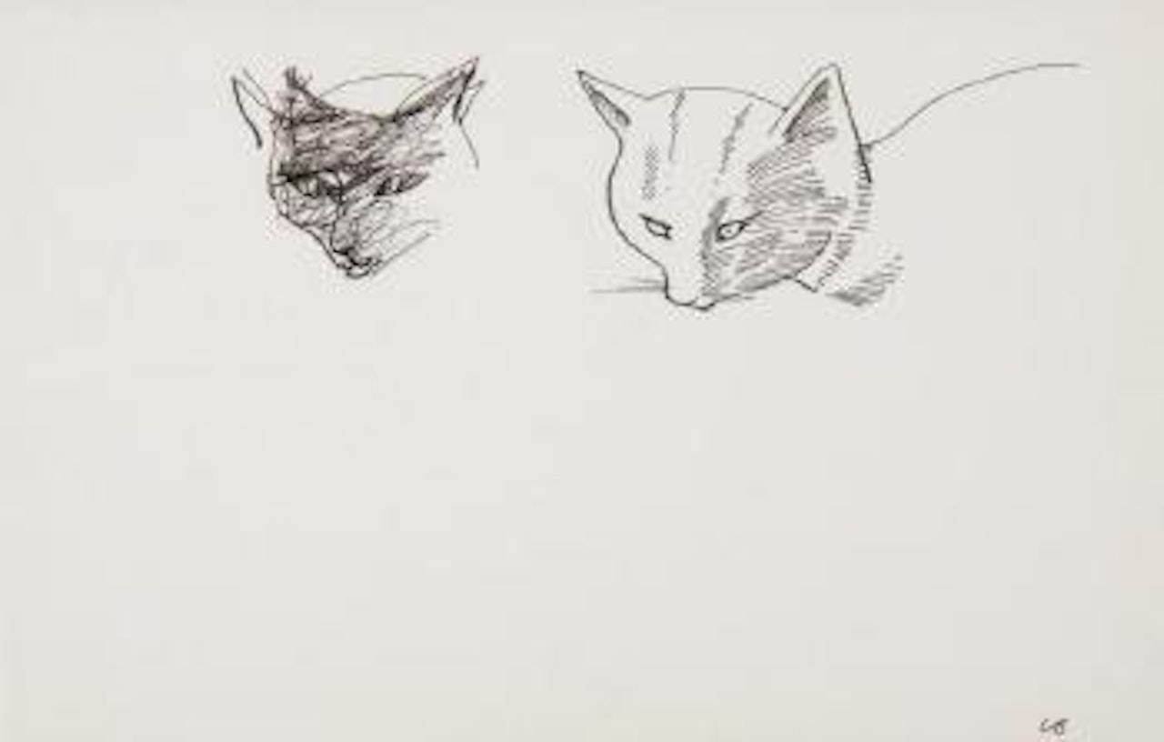 Cat studies by Charles Blackman