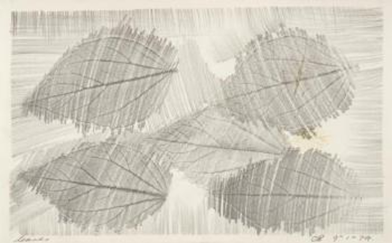 Leaves by Charles Blackman