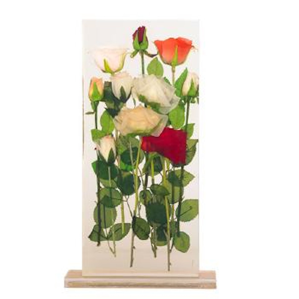 Untitled (Roses) by Arman