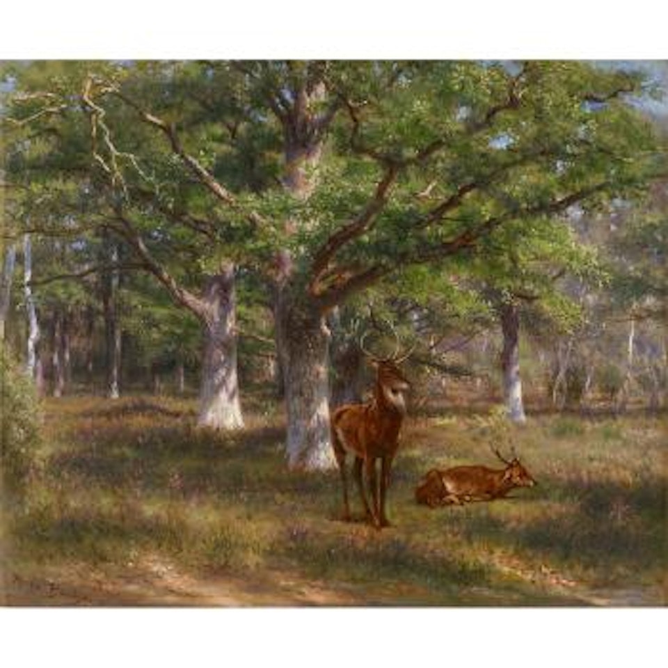 Stags in a wood by Rosa Bonheur