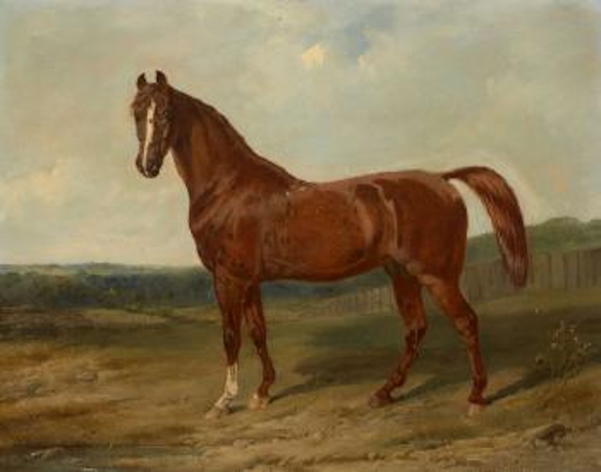 Cheval bai brun by John Frederick Herring