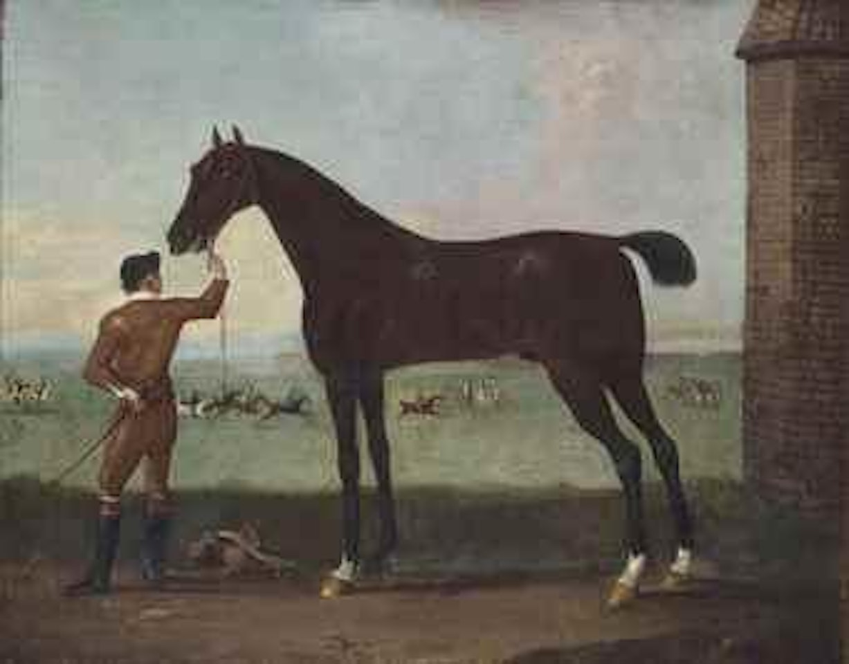 Hobgoblin, a bay racehorse, on newmarket heath by John Wootton