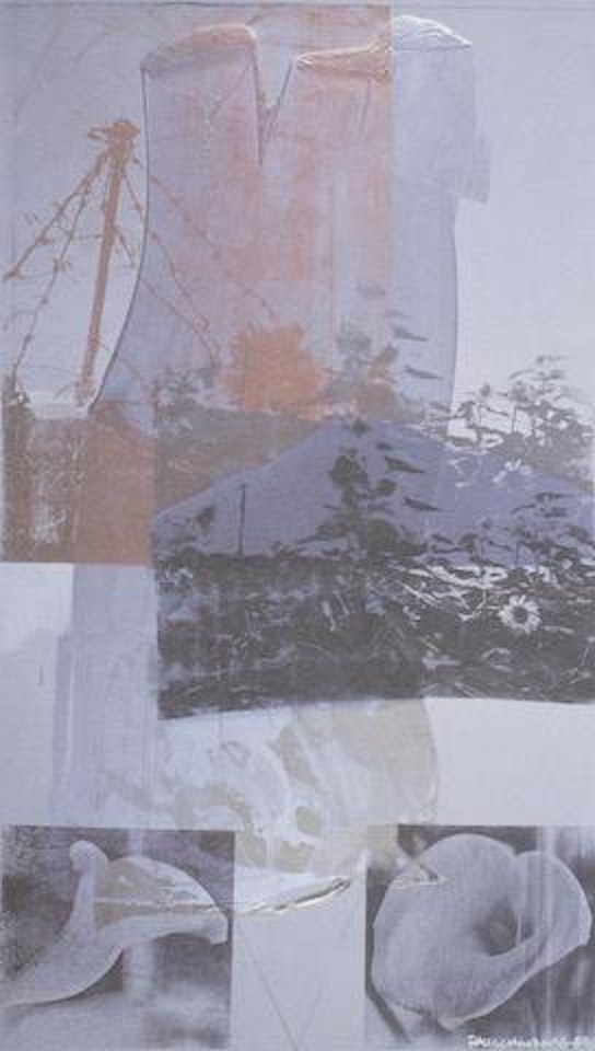 Tanya's Veil (whale) by Robert Rauschenberg