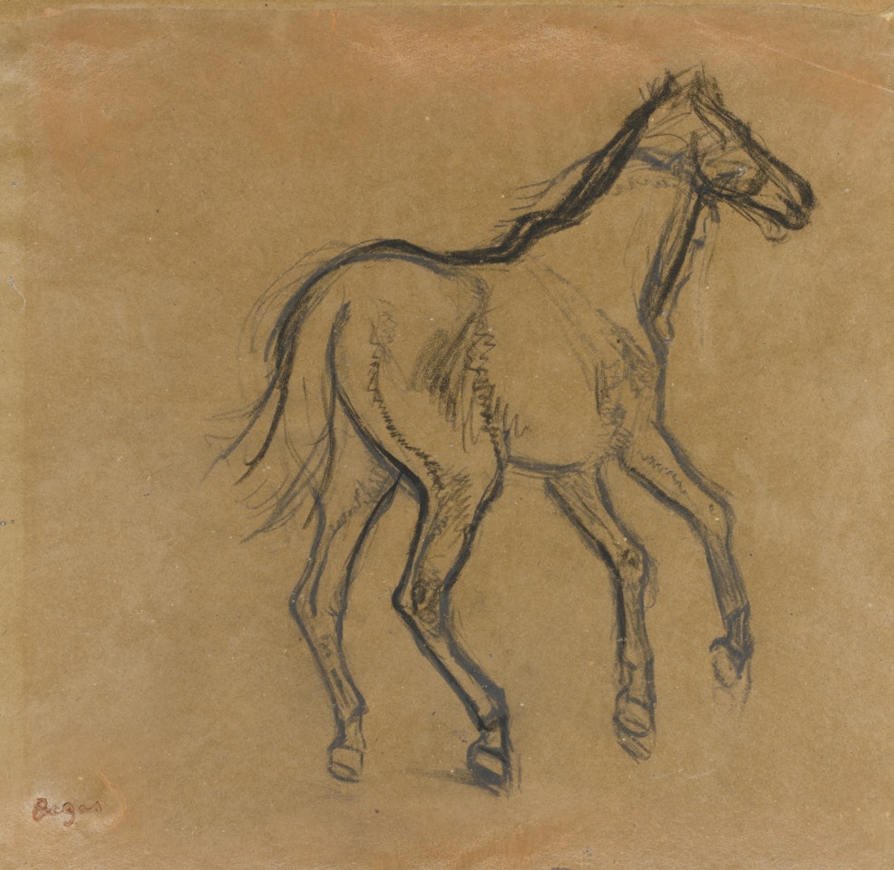 ETUDE DE CHEVAL by Edgar Degas