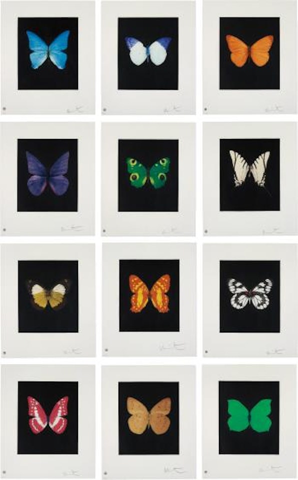 Butterfly Etching by Damien Hirst