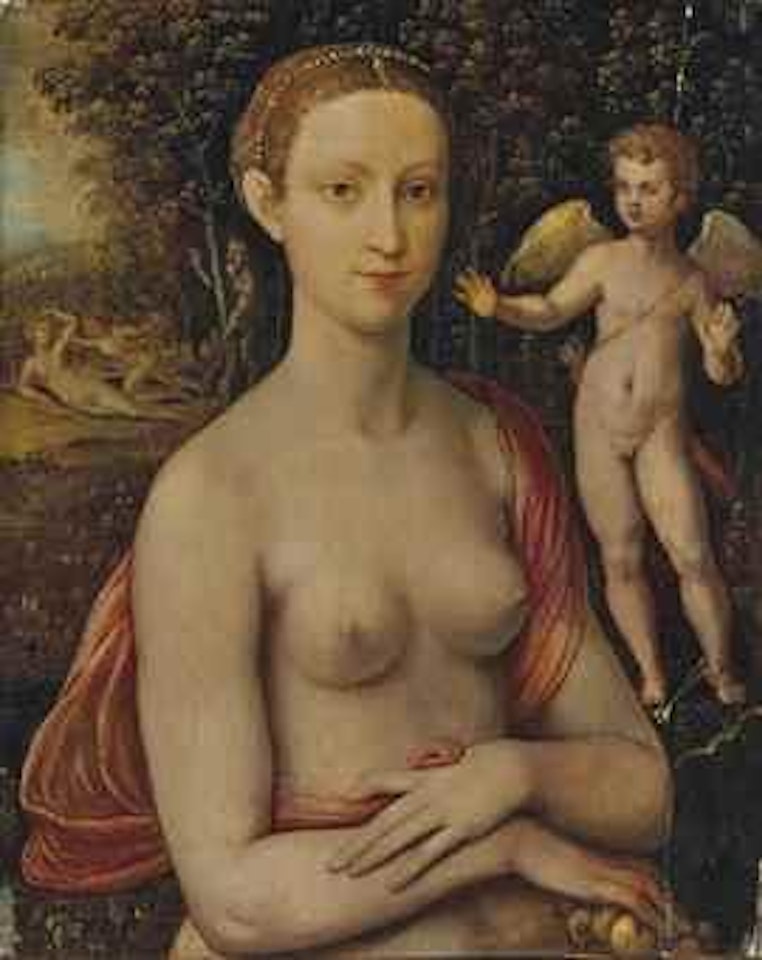 Vénus Et Cupidon by Italian School