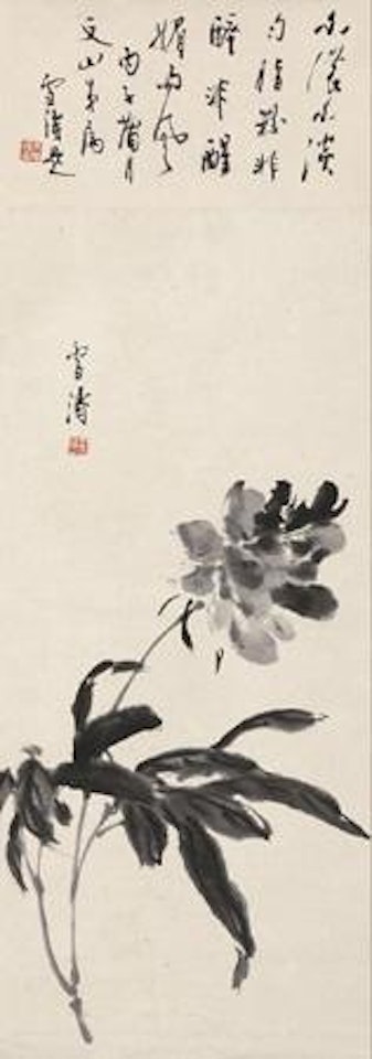 Drunk Peony by Wang Xuetao