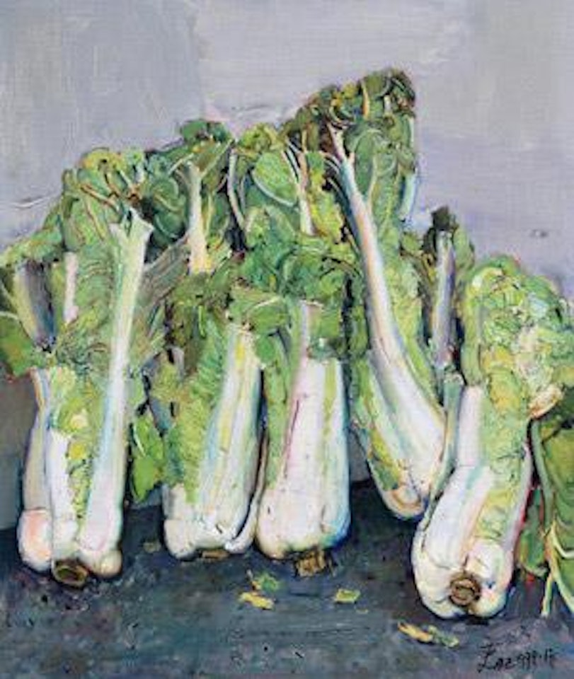 Napa Cabbage by Xin Dongwang