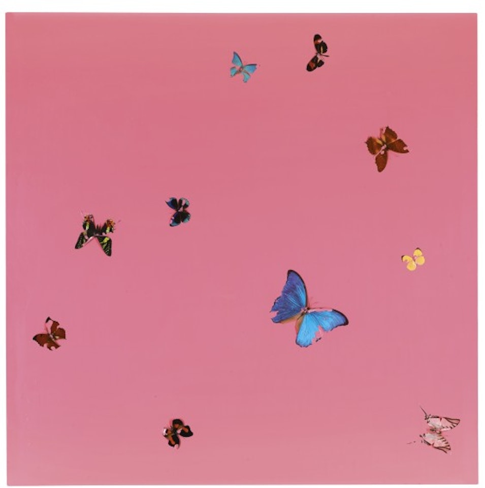 BUTCHER'S LOVE by Damien Hirst