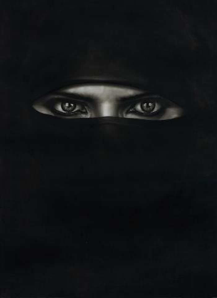 Study for Barbara in a Burka by Robert Longo