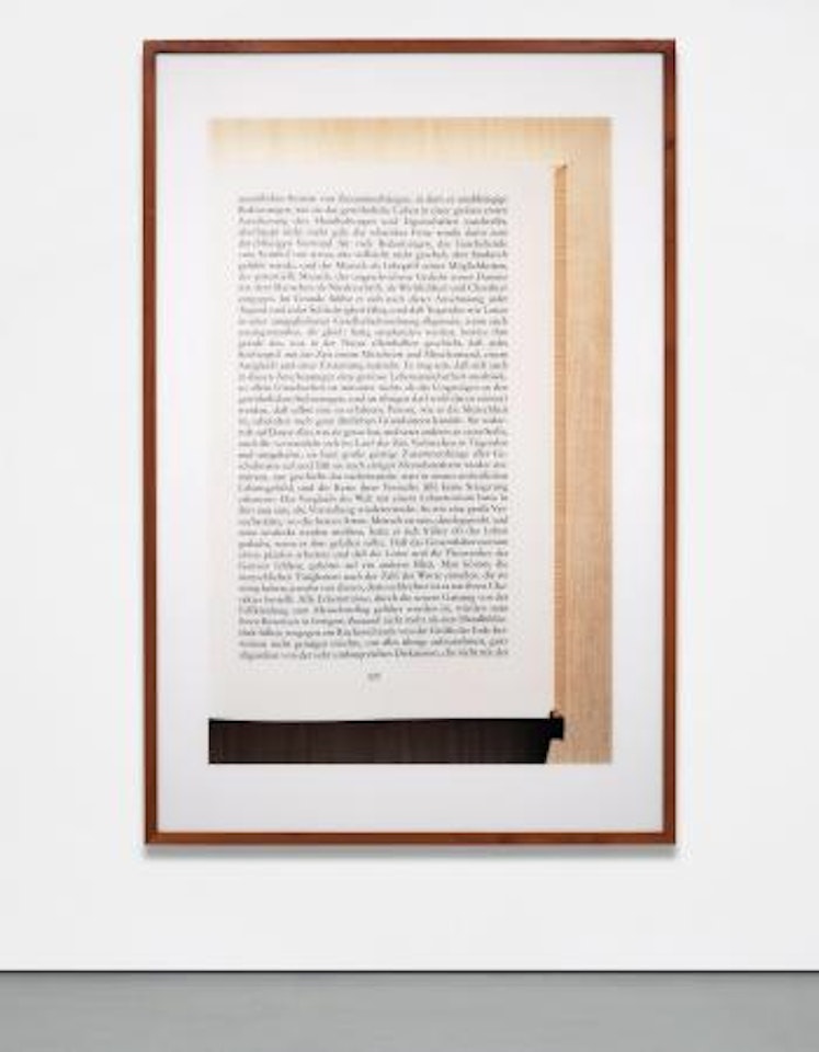 Untitled XII (Musil I) by Andreas Gursky
