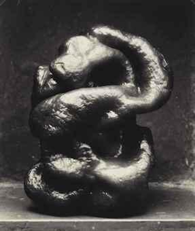 Pepper, 1929 by Edward Weston