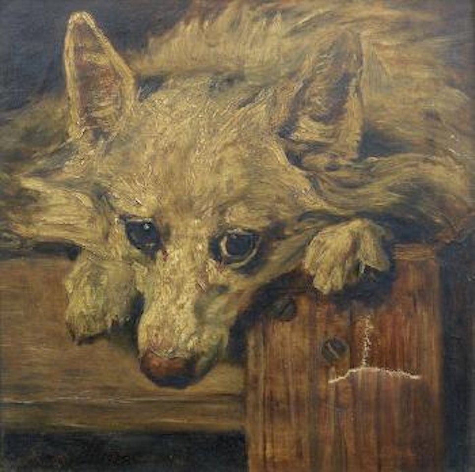 Portrait of Scamp by John Emms