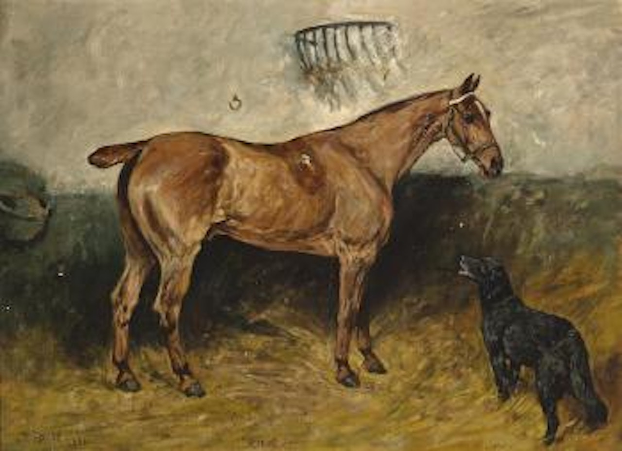 Rufus by John Emms