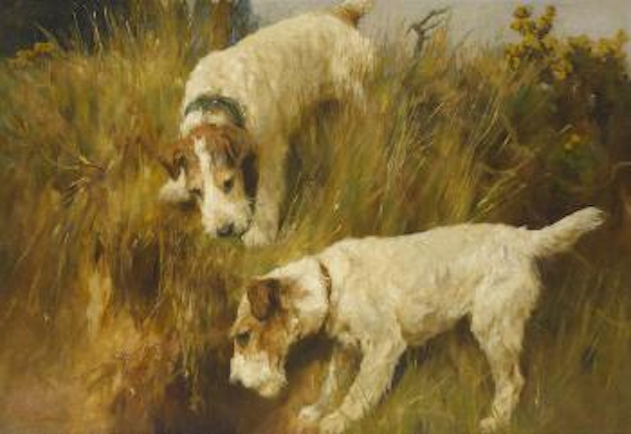 Gone to ground by Arthur Wardle
